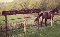 Un nouveau Centre Equestre